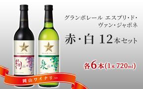 ワイン グランポレール エスプリ ド ヴァン ジャポネ 絢 -AYA-、泉 -SEN-  赤・白 12本セット（各1本 720ml）赤ワイン 白ワイン サッポロビール 岡山ワイナリー