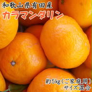 【春みかん】和歌山有田産カラマンダリン約5kg(サイズ混合　ご家庭用)　
※着日指定不可
※2026年4月上旬～5月中旬頃に順次発送予定