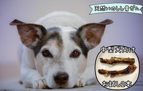 FB131_【お試し2本】中型犬向け☆天然いのししのスモーク骨ガム