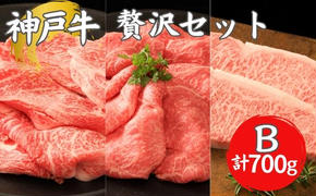 神戸牛 贅沢セットB 計700g ローススライス モモスライス サーロインステーキ  ステーキ肉 すき焼き 肉 すきやき しゃぶしゃぶ 肉 牛肉 赤身 和牛 お肉 霜降り 黒毛和牛 冷凍 ギフト