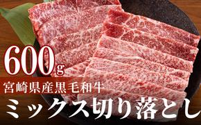 宮崎県産 黒毛和牛 切り落とし 300g×2 計600g [日本ハムマーケティング 宮崎県 美郷町 31bd0013] 小分け モモ カタ バラ ミックス 冷凍 送料無料 国産 牛 肉 切落し 牛丼 肉じゃが しぐれ煮 煮込み 肩 普段使い 母の日 父の日 プレゼント ギフト 贈り物