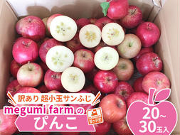 青森県鰺ヶ沢町産りんご megumi farmのぴんこ【訳あり 超小玉サンふじ】（20～30玉入）