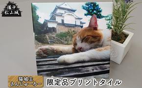 備中松山城 猫城主 さんじゅーろープリントタイルB