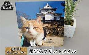 備中松山城 猫城主 さんじゅーろープリントタイルA