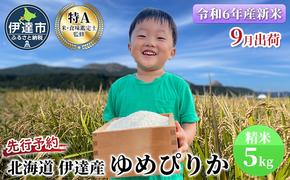 生産者 直送 【令和6年度】 北海道 伊達産 ゆめぴりか 5kg 精米