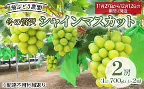 ぶどう 2024年 先行予約 冬の贅沢 シャインマスカット 2房(1.4kg以上)【1房(700g以上×2箱)】【11月27日から12月12日の期間に発送】 シャインマスカット フルーツ ぶどう ブドウ マスカット フルーツ