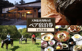 天狗温泉浅間山荘 ペア宿泊券（1泊2食付）長野 信州 小諸 ご当地 グルメ