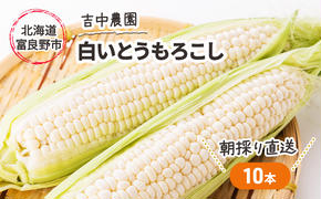 【2025年7月～発送】北海道 富良野産 朝穫り 白い とうもろこし 10本入り (吉中農園) とうもろこし とうきび コーン 野菜 新鮮 甘い ジューシー 贈り物 ギフト 道産 直送 ふらの