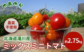 【栽培期間中 農薬不使用 】 北海道 滝川市 産 ミックス ミニトマト 約2.75kg トマト 野菜 やさい みにとまと