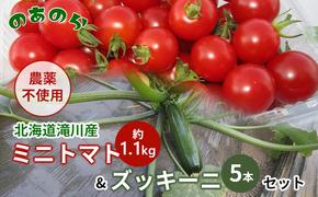 【栽培期間中 農薬不使用 】 北海道 滝川市 産 ミニトマト 約1.1kg& ズッキーニ 5本セット トマト 野菜 やさい みにとまと ずっきーに セット 詰め合わせ 詰合せ