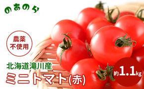 【栽培期間中 農薬不使用 】 北海道 滝川市 産 ミニトマト (赤) 約1.1kg トマト 野菜 やさい みにとまと