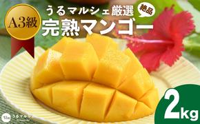 【A3クラス】絶品！うるマルシェ厳選完熟マンゴー 約2kg　【2024年発送】