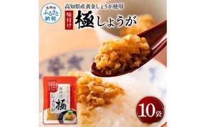 SNS006　味付け極しょうが110g×10袋 - しょうが ショウガ 生姜 生ふりかけ 坂田信夫商店 黄金しょうが 高知 国産 料理 おかず 調味料 ご飯のお供 混ぜご飯 刻み生姜 話題