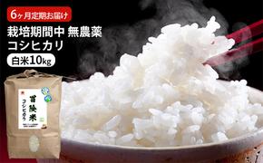 米 定期便 6ヶ月 栽培期間中 無農薬 コシヒカリ 10kg 白米 精米 こめコメ 福井県認証特別栽培米 化学肥料化学合成農薬不使用 ご飯 6回 半年 お楽しみ こしひかり 福井 福井県 若狭町