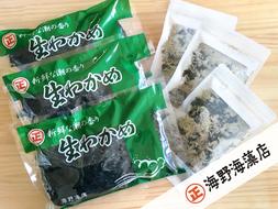 塩蔵わかめ 200g ×3パック 青のりとろろ 22g × 3パック セット 海野海藻店 国産 三陸産 わかめ 青さのり のり とろろ昆布 とろろ 昆布 海藻 茨城 大洗