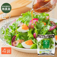 レタス ピュアリーフ 4個入り  リーフレタス 栽培期間中 無農薬 野菜 季節の野菜 旬の野菜 新鮮 サラダ 付け合わせ  最新植物工場レタス