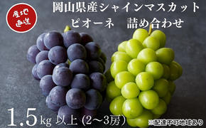 厳選 シャインマスカット・ニューピオーネ 2～3房 合計1.5kg以上 詰合せ 産地直送 朝採れ ぶどう 葡萄 Kawahara Green Farm 岡山県産 2025年