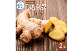 YTY005　高知県産 生姜 2kg 土佐一 お取り寄せ まとめ買い 大量 美味しい 健康 野菜 ジンジャー おかず 料理 生姜焼き しょうが湯 薬味 故郷納税