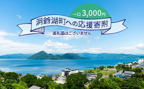 洞爺湖町 寄附のみの応援受付 3,000円コース（返礼品なし 寄附のみ 3000円）