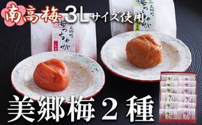 南高梅 梅干し 美郷梅 一粒入り うま味昆布 & シソ風味 各6粒 3Lサイズ A級品 化粧箱入り [農林産物直売所 美郷ノ蔵 宮崎県 美郷町 31ab0101] 国産 セット 詰め合わせ 宮崎県産 美郷産 常温 送料無料 贈答品 父の日 母の日 プレゼント ギフト