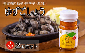 調味料 赤ゆずごしょう 60g×2本 セット [農林産物直売所 美郷ノ蔵 宮崎県 美郷町 31ab0105] 赤唐辛子 ゆず 柚子 塩 唐辛子 柚子胡椒 ギフト 調味料 宮崎県産 産 国産 送料無料 薬味 地鶏 刺身 焼き鳥 うどん そば そうめん 水炊き 鍋料理 肉料理 魚料理 手作り 手づくり 料理 調理 おかず