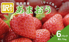 訳あり いちご 2025年2月下旬より発送 あまおう サイズ色々 6パック 約1.71kg 配送不可 離島