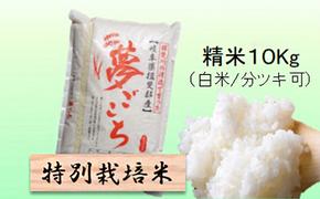 特別栽培米★精米10kg（白米/5分/7分ツキ可）【夢ごこち】 玄米は別に出品