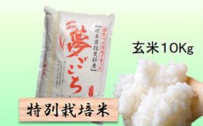 特別栽培米★玄米10kg 【夢ごこち】