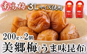 南高梅 梅干し 美郷梅 昆布 200g×2 3Lサイズ 塩分控えめ A級品 [農林産物直売所 美郷ノ蔵 宮崎県 美郷町 31ab0109] 国産 宮崎県産 美郷産 常温 送料無料 贈答品 父の日 母の日 プレゼント ギフト おやつ お菓子 料理 調理 おかず