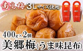 南高梅 梅干し 美郷梅 昆布 400g×2個 3Lサイズ 塩分控えめ A級品 [農林産物直売所 美郷ノ蔵 宮崎県 美郷町 31ab0112] 国産 宮崎県産 美郷産 常温 送料無料 贈答品 父の日 母の日 プレゼント ギフト 贈り物 おやつ お菓子 料理 調理 おかず 普段使い