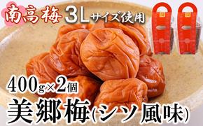 南高梅 梅干し 美郷梅 シソ風味 400g×2 3Lサイズ 塩分控えめ A級品 [農林産物直売所 美郷ノ蔵 宮崎県 美郷町 31ab0113] 国産 宮崎県産 美郷産 常温 送料無料 贈答品 父の日 母の日 プレゼント ギフト 贈り物 おやつ お菓子 調理 おかず 料理 普段使い