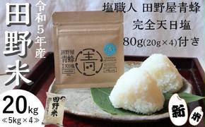 ★ 令和5年産 新米 ★【四国一小さなまち】 田野米 20kg ＋ 田野屋青蜂 完全天日塩 80g セット　～ 精米 ・ 白米 ～