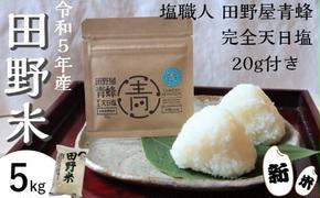 ★ 令和5年産 新米 ★【四国一小さなまち】 田野米 5kg ＋ 田野屋青蜂 完全天日塩 20g セット　～ 精米 ・ 白米 ～