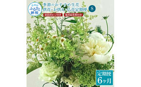 t167tmf　《6ヵ月定期便》花束一束 お供え 初回花瓶付S 定期便 定期コース 全6回 初回花瓶付き 延命剤付き 花びん 生花 仏花 供花 花束 はな 花 法要 お盆 花 おすすめ 一束 季節のお花 供花 お供え
