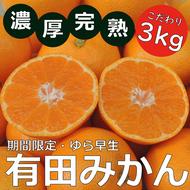 北真農園　有田みかん　ゆら早生 濃厚完熟 3kg お試しサイズ ORYY推奨 ※2024年11月上旬～12月下旬頃に順次発送予定