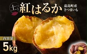 FKK19-632_【先行予約】嘉島町産さつまいも「紅はるか」5kg 土付き ＜2024年11月下旬から順次発送＞ サツマイモ イモ 焼き芋 野菜