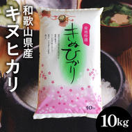 【先行予約】和歌山県産キヌヒカリ 10kg(2024年産) ◇※2024年9月中旬～2025年9月上旬頃に順次発送