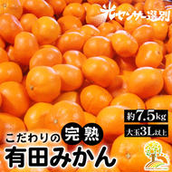 ＼光センサー選別／ 農家直送　有田みかん　約7.5kg 大玉3L以上　有機質肥料100% ※沖縄・離島への配送不可 ※2024年11月中旬～2025年1月上旬頃に順次発送予定