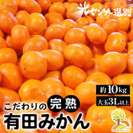 有田みかん 約10kg 大玉3L以上 有機質肥料100% ＼光センサー選別／ 農家直送 ※北海道・沖縄・離島への配送不可 ※2024年11月中旬～2025年1月上旬頃に順次発送予定