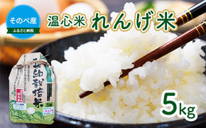 米 コシヒカリ れんげ米 5kg ×1袋 そのべ産 温心米 2024年度産 お米 単一原料米 こしひかり 丹波 精米 白米 こめ コメ 京都