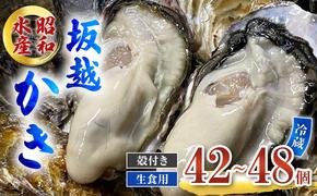 牡蠣 生食用 坂越かき 殻付き 42～48個 昭和水産 [ 生牡蠣 真牡蠣 かき カキ 冬牡蠣 ]