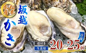 牡蠣 生食用 坂越かき 殻付き 20～25個 松本水産 [ 生牡蠣 真牡蠣 かき カキ 冬牡蠣 ]