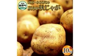 【四国一小さなまちのじゃがいも】★令和５年１２月中旬発送開始★ 大野台地で採れた『 令和５年産 秋じゃが 』 １０ｋｇ　～ 訳あり ～