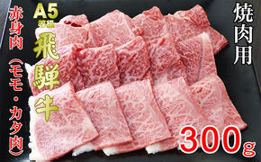 牛肉 飛騨牛 焼き肉 セット 赤身 モモ 又は カタ 300ｇ 黒毛和牛 Ａ5 美味しい お肉 牛 肉 和牛 焼肉 BBQ バーベキュー 【岐阜県池田町】