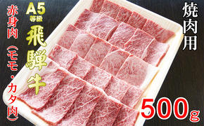 牛肉 飛騨牛 焼き肉 セット 赤身 モモ 又は カタ 500ｇ 黒毛和牛 Ａ5 美味しい お肉 牛 肉 和牛 焼肉 BBQ バーベキュー 【岐阜県池田町】