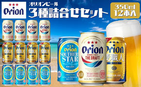 オリオンビール　3種類詰め合わせセット