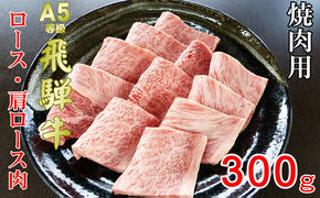 牛肉 飛騨牛 焼き肉 セット ロース 又は 肩ロース 300ｇ 黒毛和牛 Ａ5 美味しい お肉 牛 肉 和牛 焼肉 BBQ バーベキュー 【岐阜県池田町】