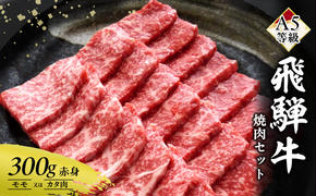 牛肉 飛騨牛 焼き肉 セット 赤身 モモ 又は カタ 300g 黒毛和牛 A5 美味しい お肉 牛 肉 和牛 焼肉 BBQ バーベキュー 【岐阜県瑞穂市】