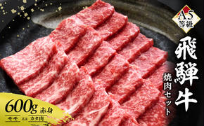 牛肉 飛騨牛 焼き肉 セット 赤身 モモ 又は カタ 600g 黒毛和牛 A5 美味しい お肉 牛 肉 和牛 焼肉 BBQ バーベキュー 【岐阜県瑞穂市】