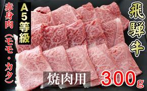 牛肉 飛騨牛 焼き肉 セット 赤身 モモ 又は カタ 300g 黒毛和牛 A5 美味しい お肉 牛 肉 和牛 焼肉 BBQ バーベキュー 【岐阜県輪之内町】